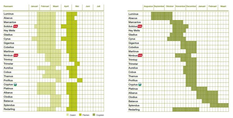 Teeltplanning verse markt 