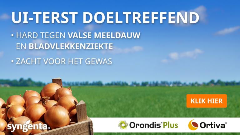 Vroeg beginnen met een sterk preventief schema is cruciaal bij de aanpak van valse meeldauw. Orondis®Plus Ortiva past prima in die aanpak.