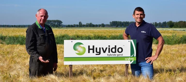 L'orge d'hiver Hyvido s'intègre également parfaitement dans notre système de culture afin de bien répartir le travail ! La culture se termine tôt et vous pouvez alors semer un engrais vert qui pourra continuer à pousser de manière optimale et longtemps ! 