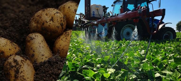 syngenta_kv_-_imagery_1