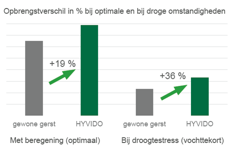 Ook in droge  tijden presteert HYVIDO bovengemiddeld