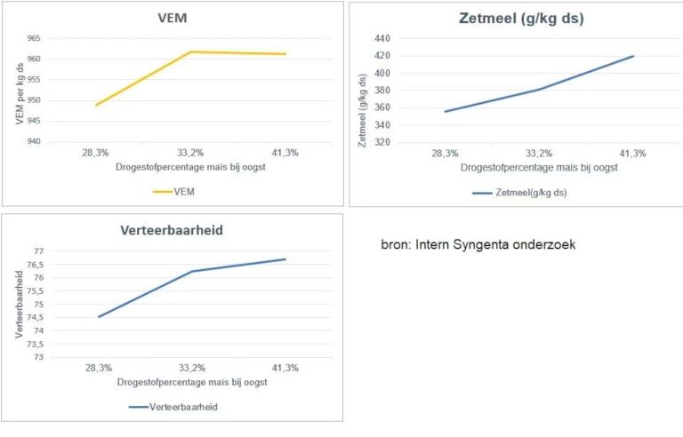 Te vroeg mais oogsten: De (financiele) consequenties