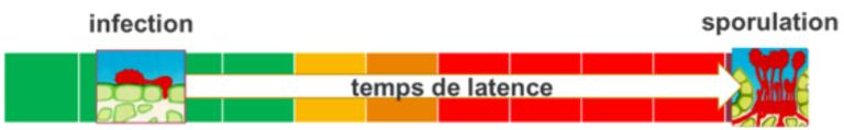 Temps de Latence