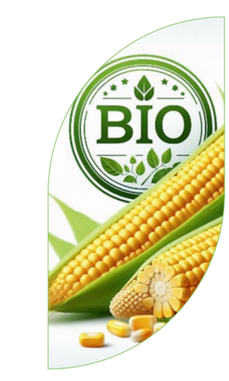 De maïs- en zonnebloemrassen die Syngenta Seeds aanbiedt, hebben zich reeds uitgebreid bewezen in de conventionele landbouw en officiële (Benelux) rassenproeven, en zijn uw garantie voor het beste resultaat