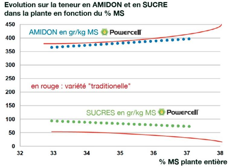 Le graphique montre l'évolution habituelle de la teneur en matière sèche, en sucre et en amidon pour une variété POWERCELL™.