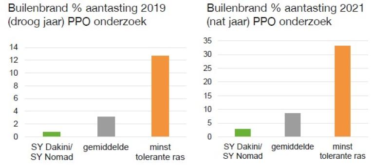 ONderzoek naar builenbrand in een droog en in een nat jaar