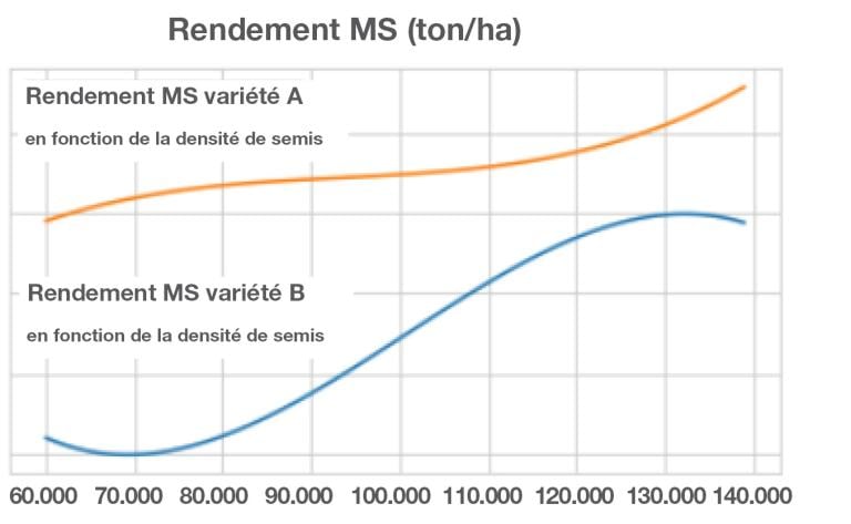 MS rendement en fonction de la densite de semis