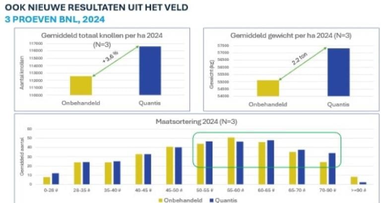 Quantis grafiek