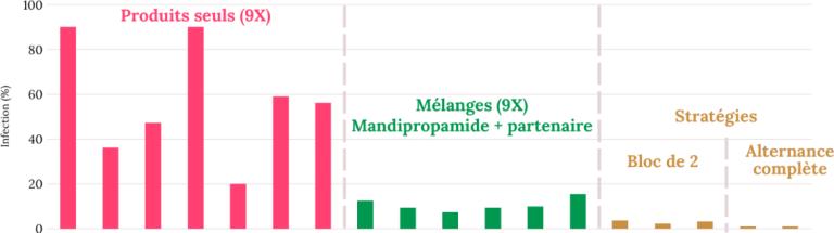 Mengen en afwisselen Mandi 001