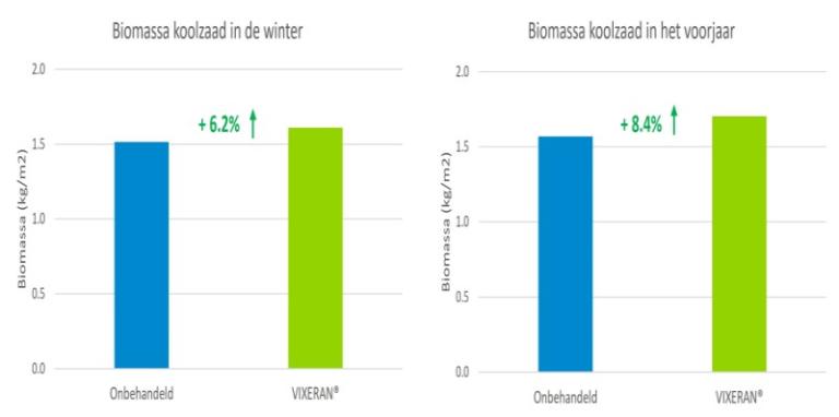 Grafiek koolzaad Vixeran