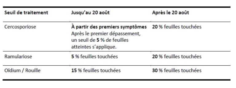 tableau betteraves