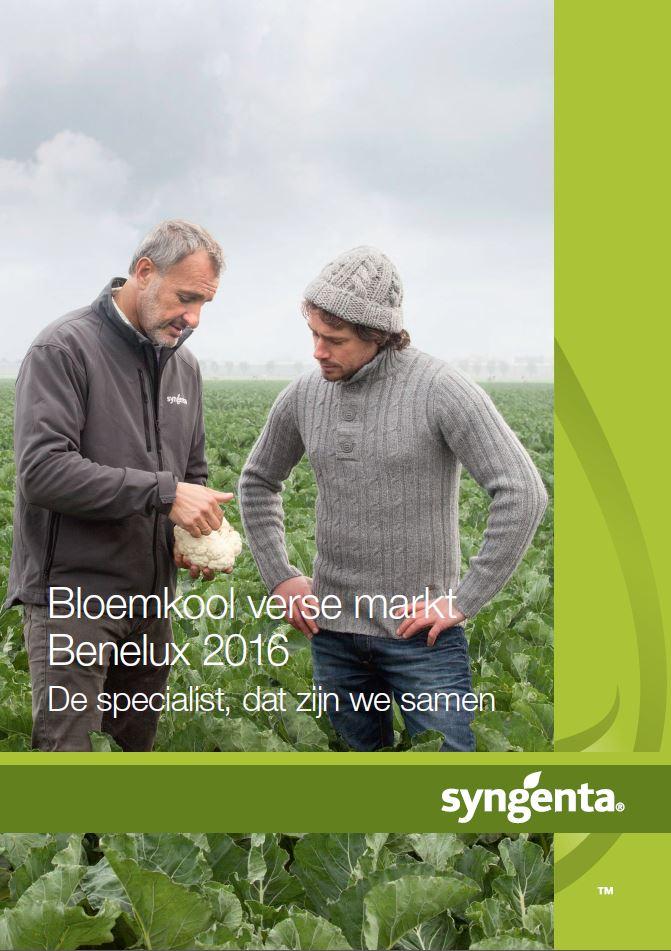 Bloemkool verse markt