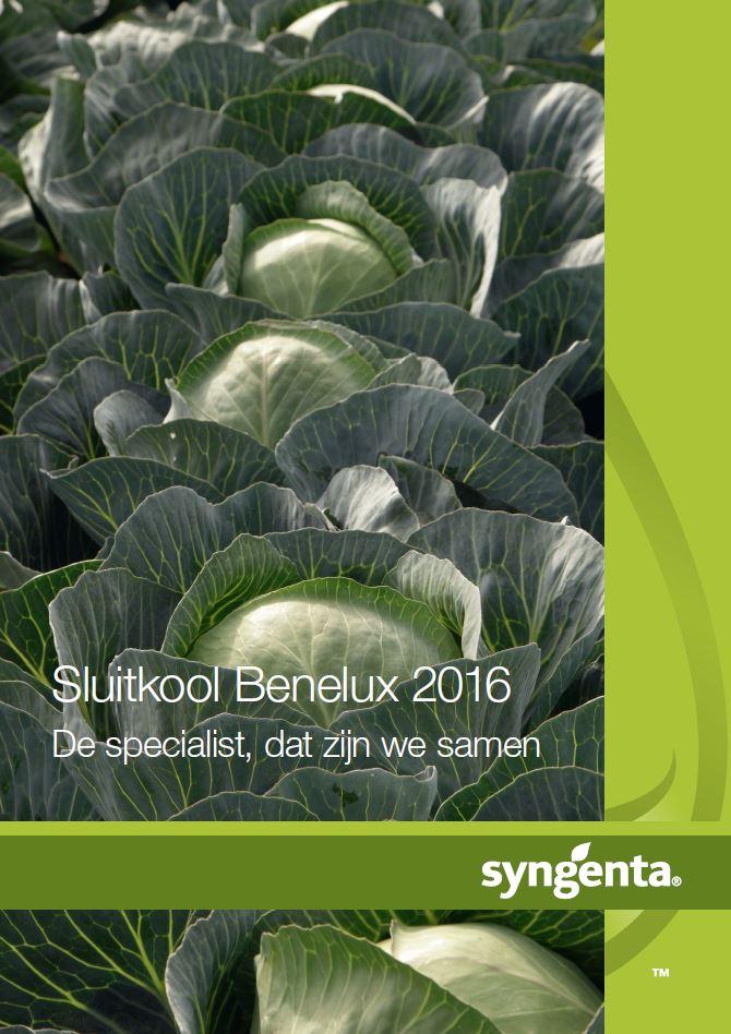 Sluitkool