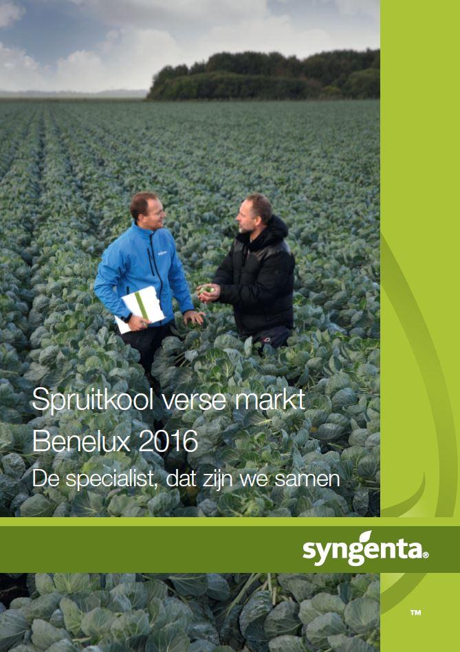 Spruitkool verse markt