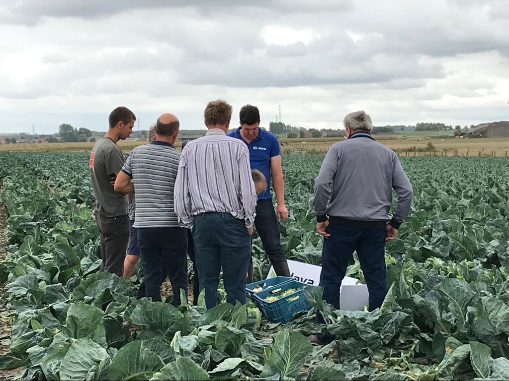 Open dag JAVA september 2019