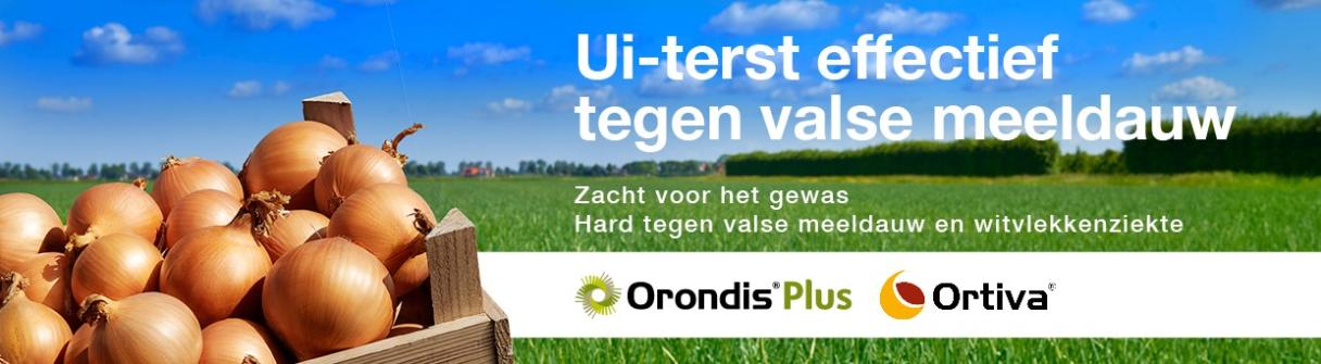 Banner Orondis Plus Amistar