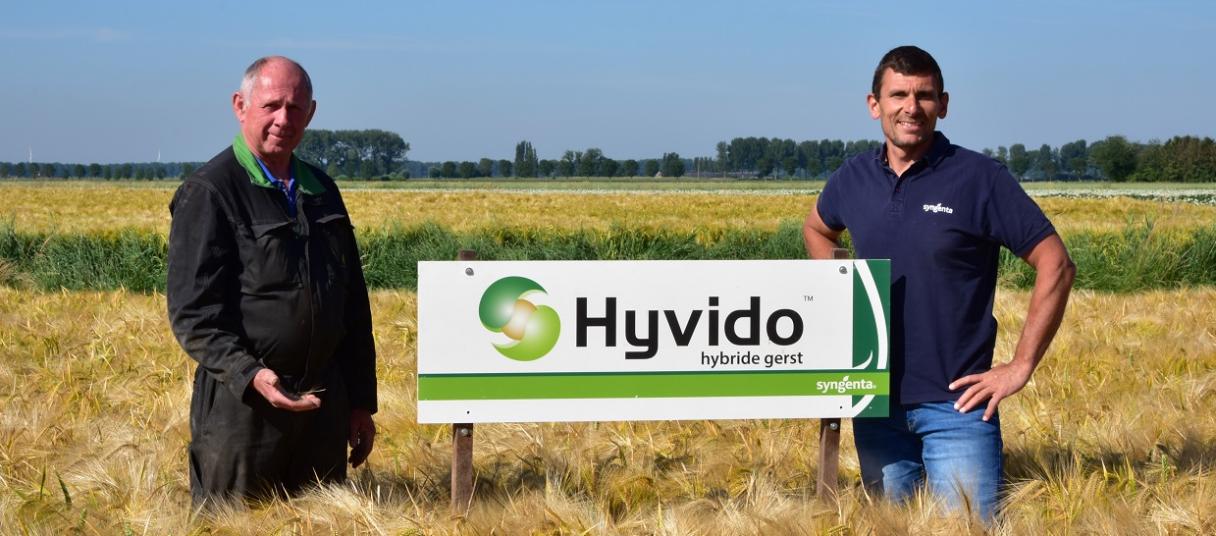 Ook voor de spreiding van het werk past HYVIDO wintergerst perfect in ons teeltsysteem. De teelt is vroeg weg en je kunt daarna een groenbemester zaaien die optimaal en lang kan doorgroeien! Op die manier kun je ook maximaal organisch materiaal in de bode