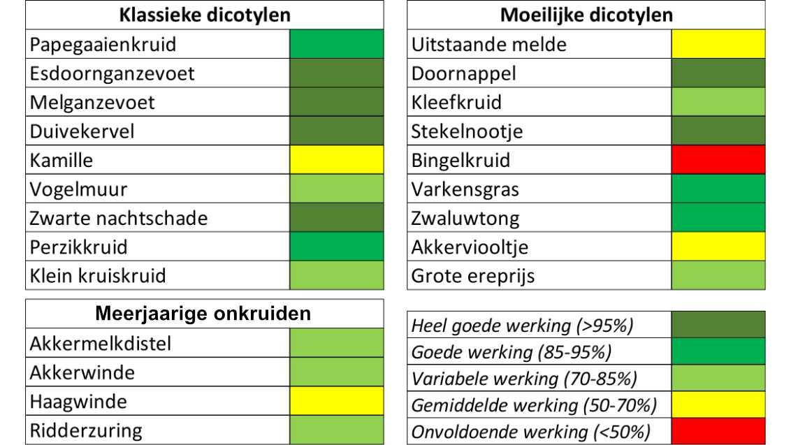 Spectrum Lumestra plus nl