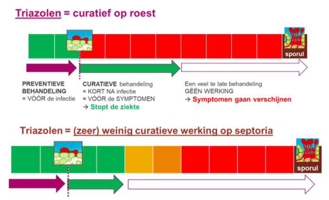 triazolen curatief op roest 