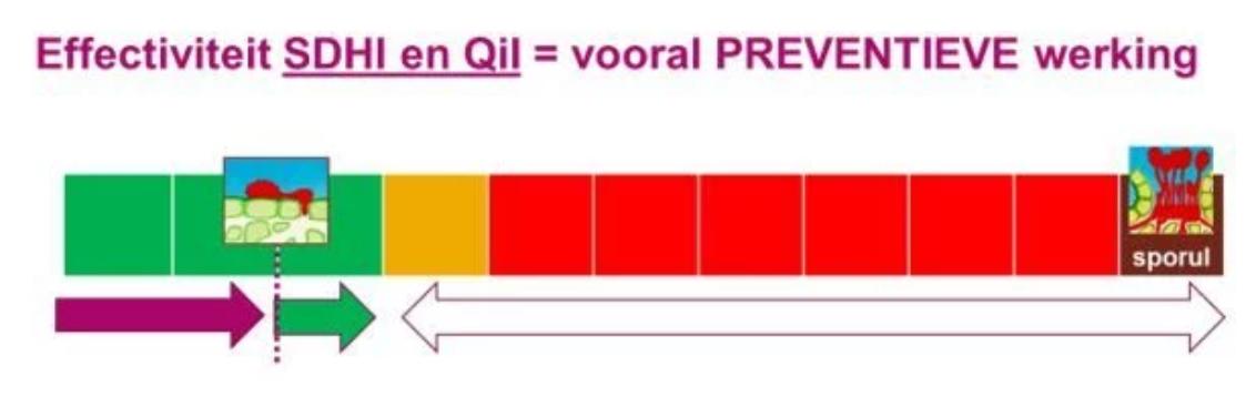 Effectiviteit
