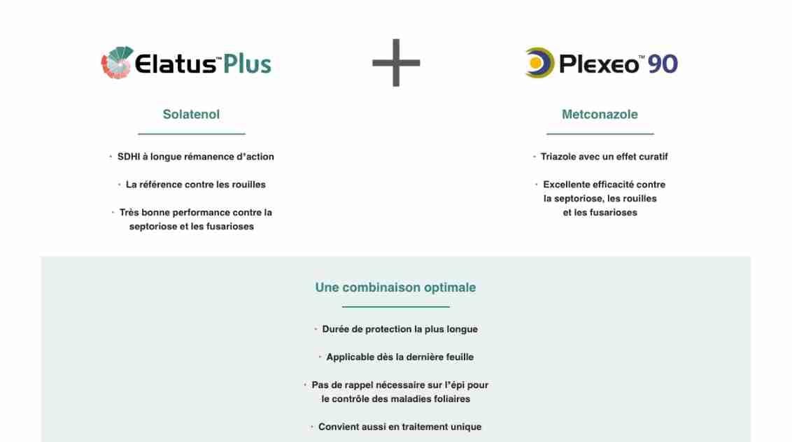 Elatus Plus Plexeo