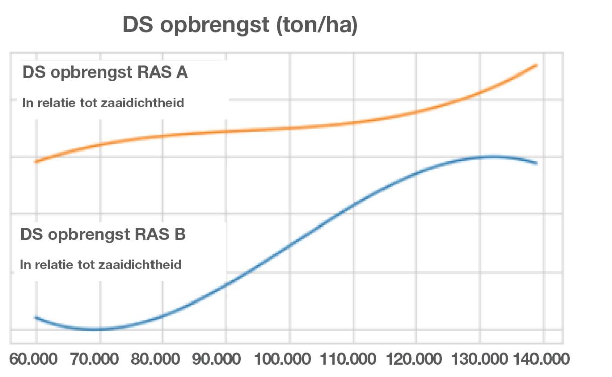 DS Opbrengst bij verschillende zaaidichtheden