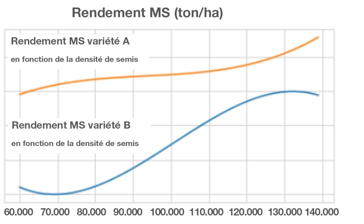 MS rendement en fonction de la densite de semis