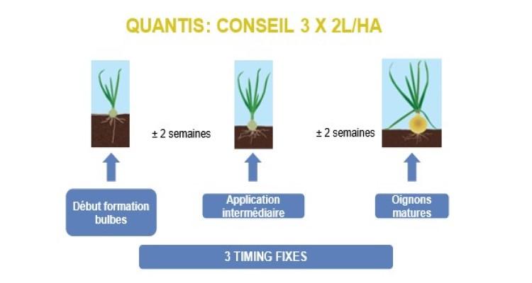 Quantis advies uien FR
