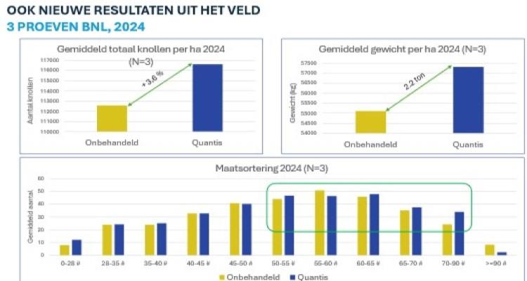 Quantis grafiek