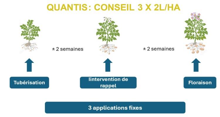 Quantis FR
