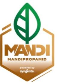 Mandi NL