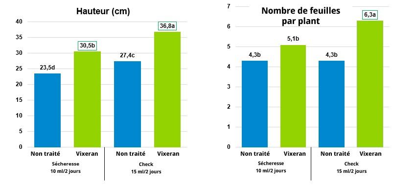 Vixeran proef secheresse