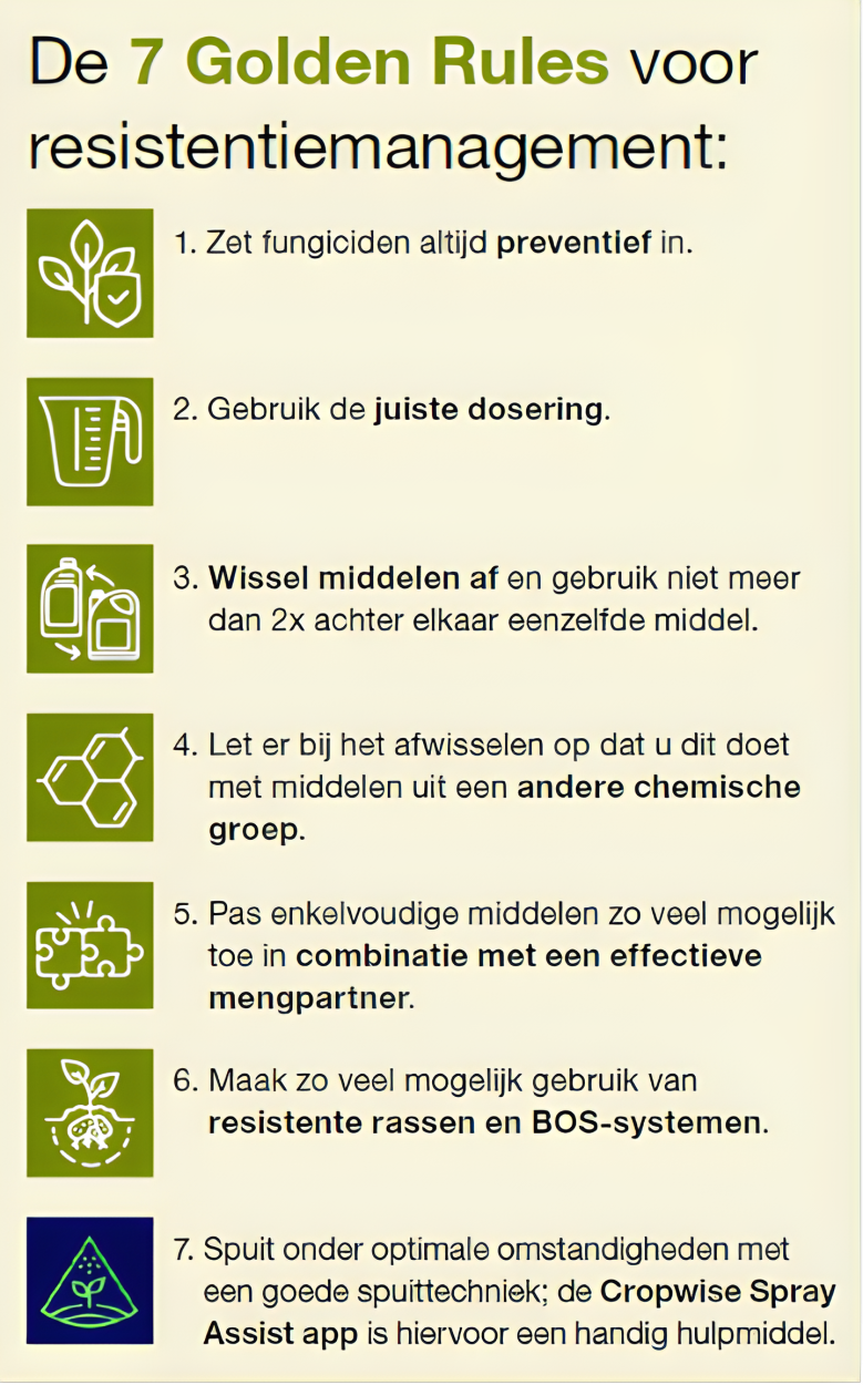 7 gouden regels voor een goede aardappeloogst