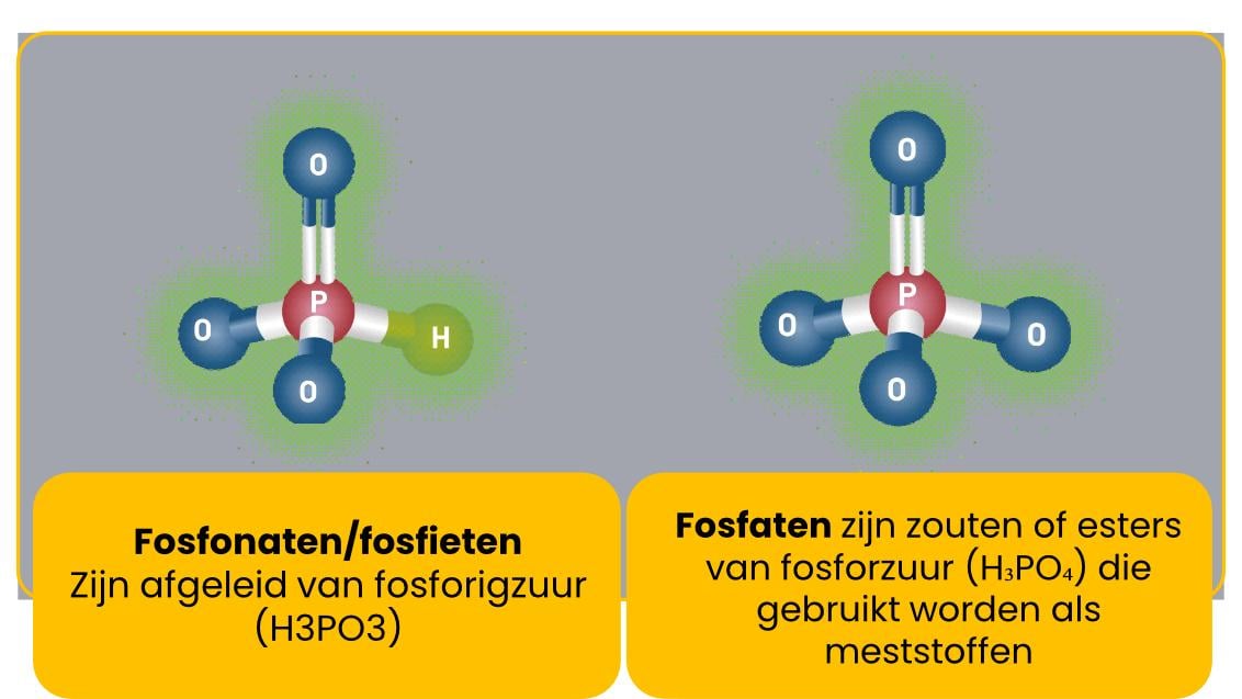 AD werkingswijze NL