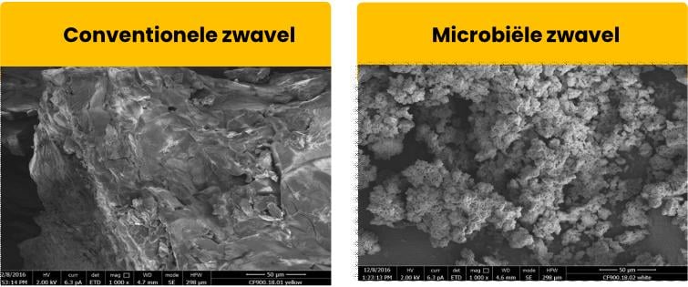 755x315_bnl_ad_verschil_zwavel_002_nl.jpg