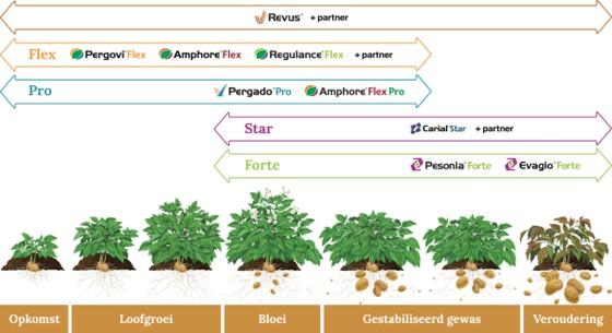 Schema met plantengroepen per standplaats: zon/schaduw en nat/droog, met voorbeelden.