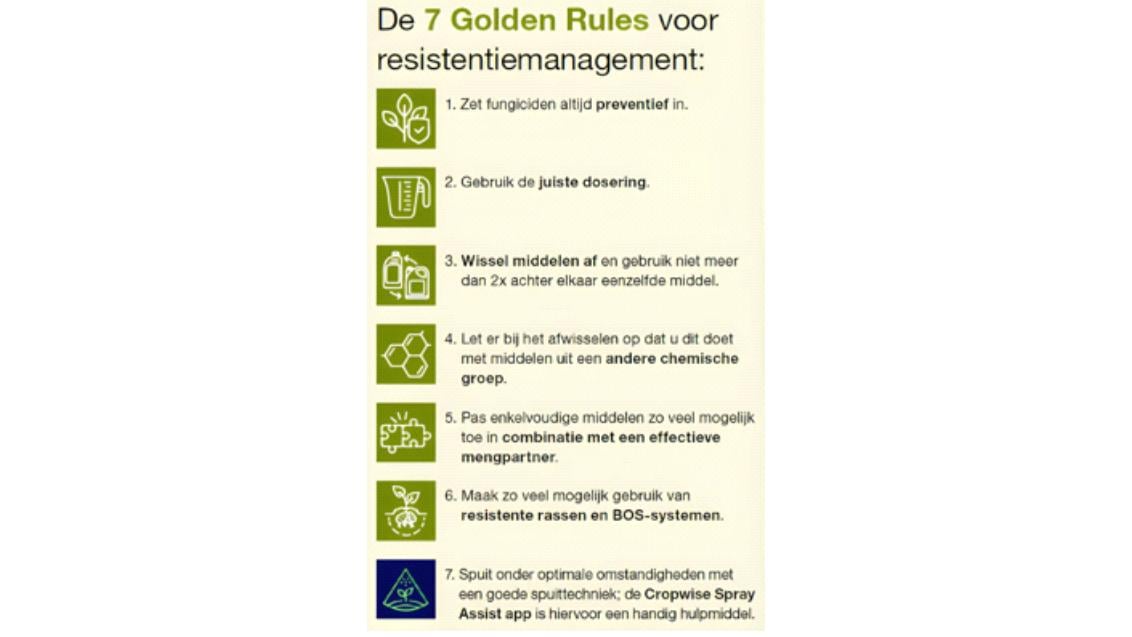 7 golden rulen
