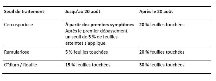 tableau betteraves