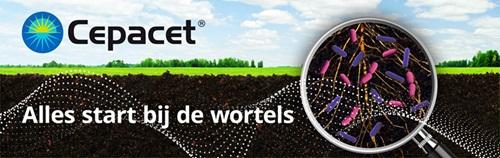 Cepacet banner