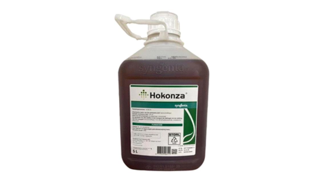 Hokonza