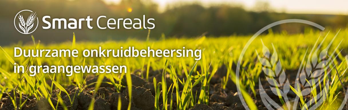 Smart Cereals banner