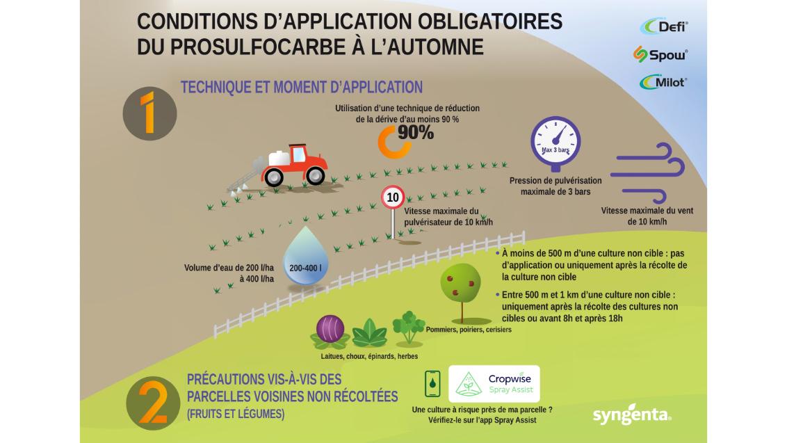 Infographic over auto-onderhoud: olieverversen, oliepeil, banden en ruitensproeiervloeistof.