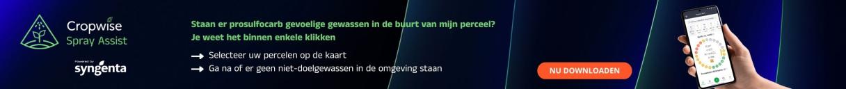 Banner met tekst over crypto- en forexsignalen, telefoonmock-up en rode knop "Join Now".